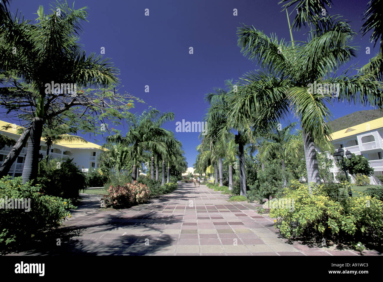 Caribbean, French West Indies, St. Martin, Anse Narsel; Le Meridien Hotel,  garden walkway Stock Photo - Alamy