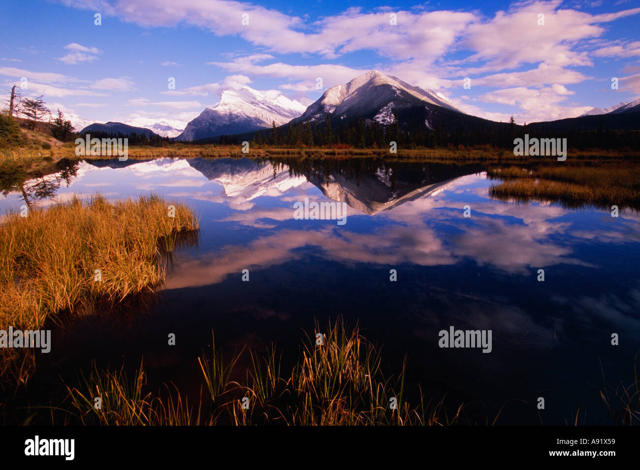 Mt. Rundle from Vermillion Lakes, Banff National Park, Alberta, Canada Stock Photo