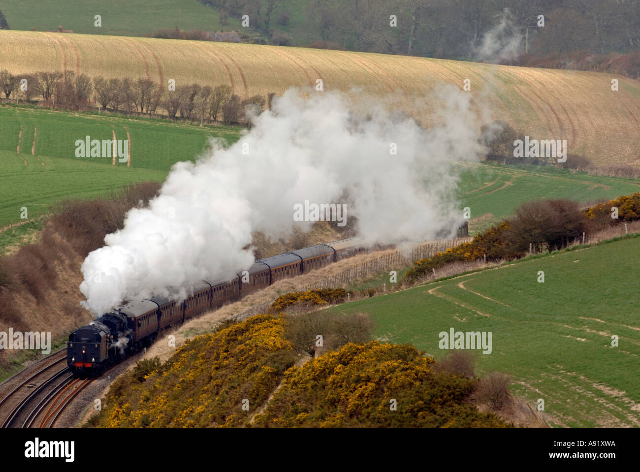 Steam train, Dorset Britain UK Stock Photo