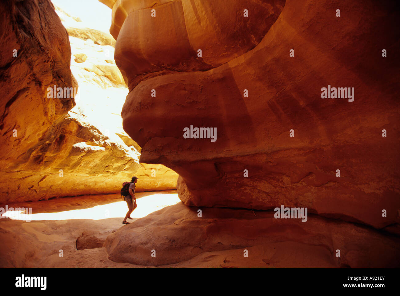 Jason Bean hiking in Little Death Hollow canyon Utah Stock Photo Alamy