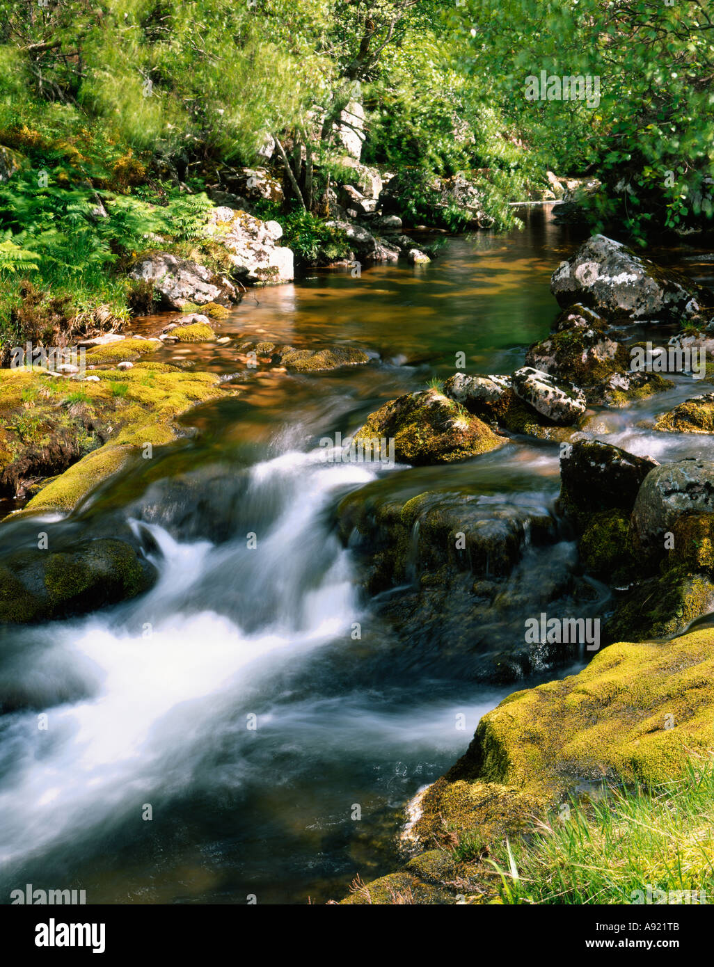 Afon Twrch Llanuwchllyn  Lake Bala Gwynedd  N.Wales  UK Stock Photo