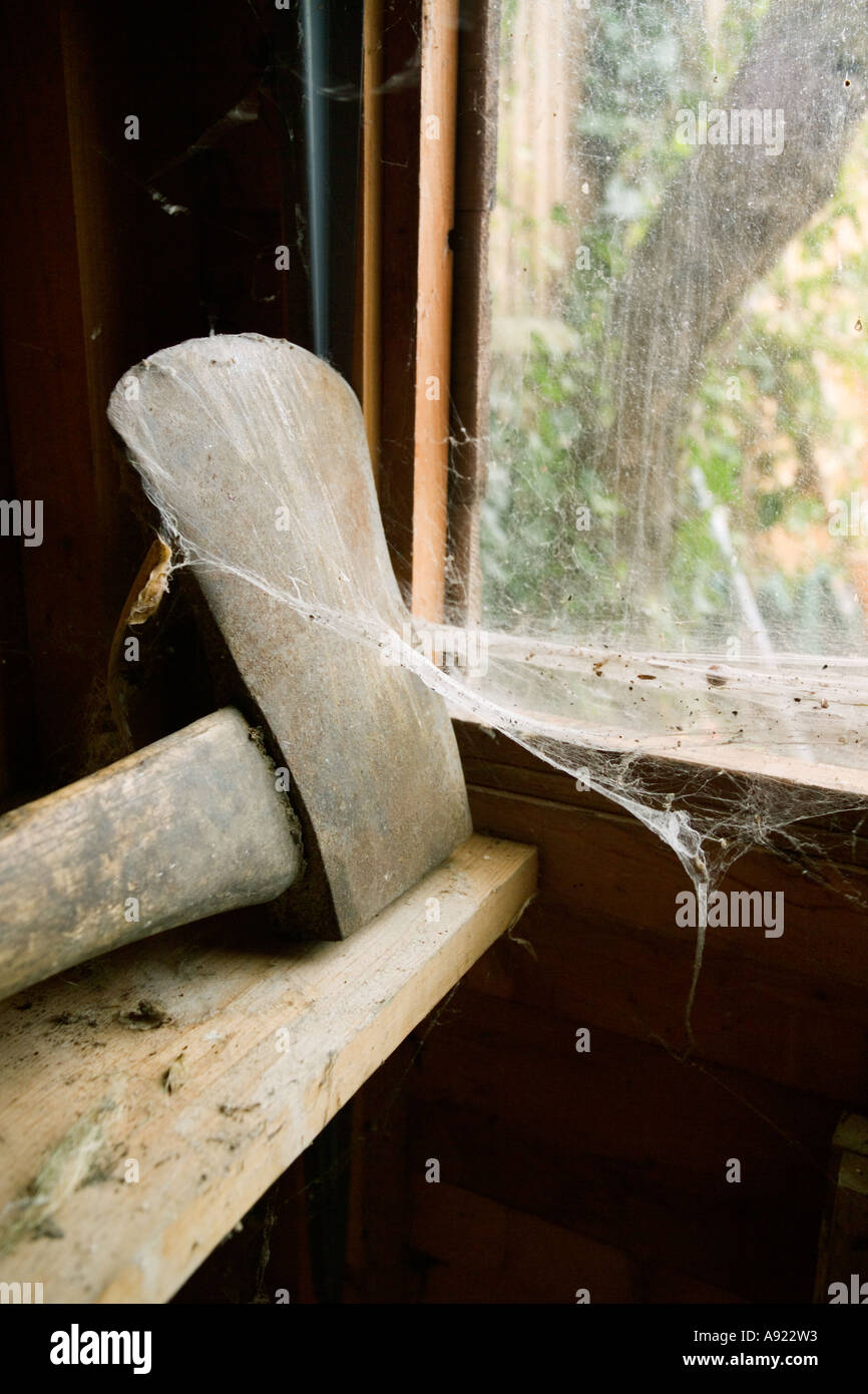 rusty axe on shelf covered in cobwebs on shelf in old building or disused building with spiders web dirty glass Stock Photo