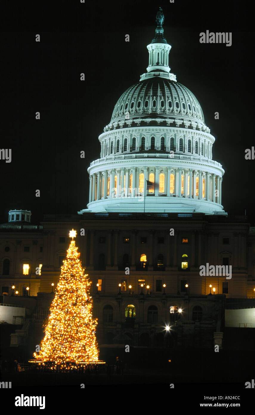 US Capitol Building Washington DC and the National Christmas tree Stock