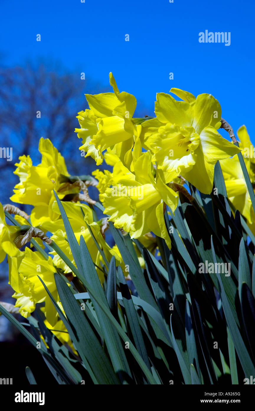 Environment sunday hires stock photography and images Alamy