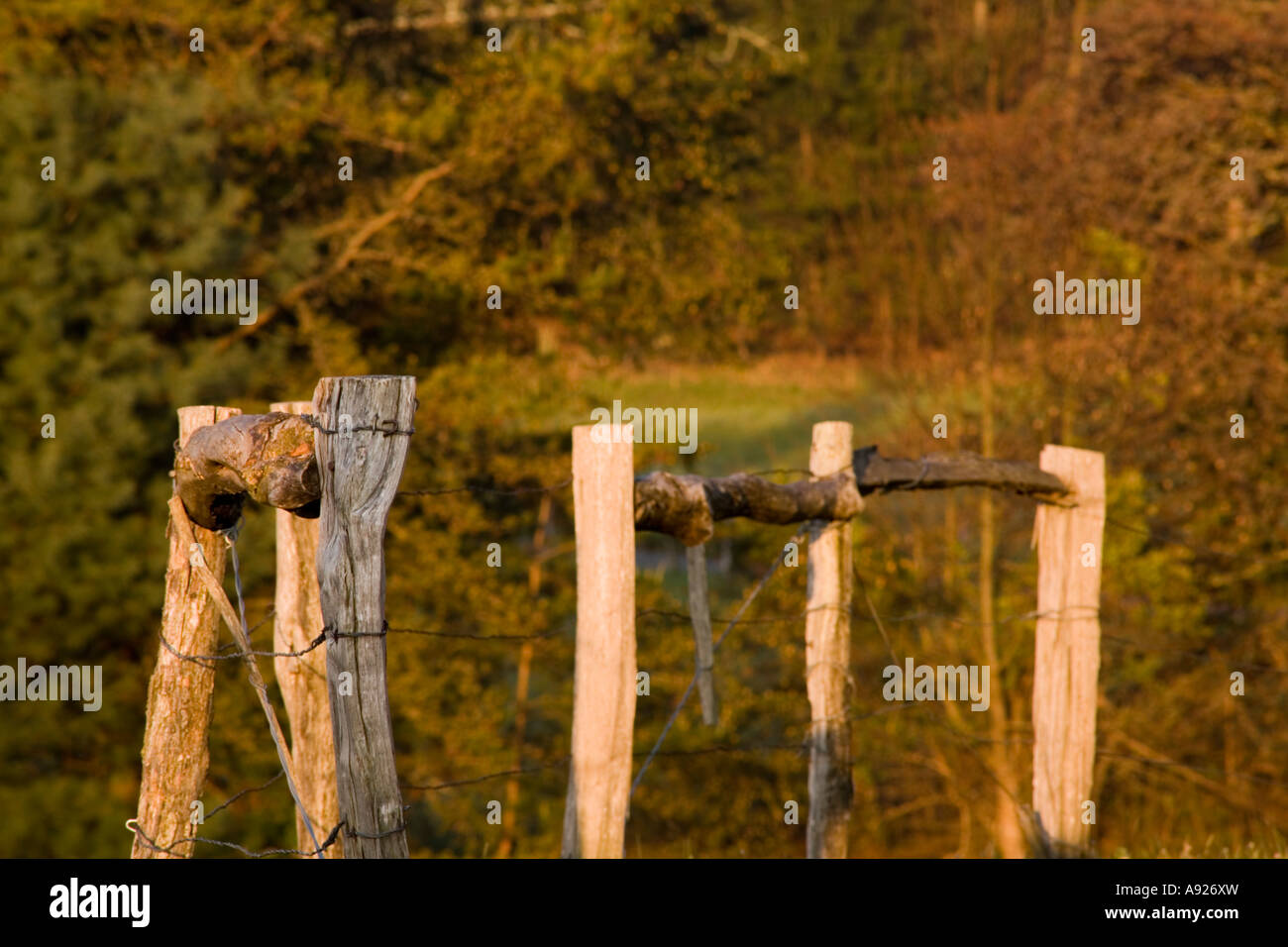 Nature and fencing hi-res stock photography and images - Alamy