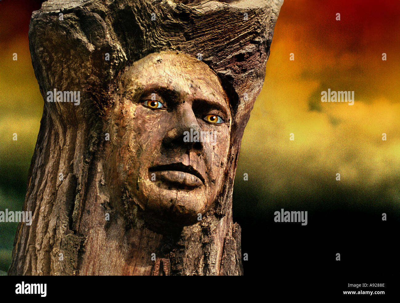 CARVED HUMAN FACE ON TREE STUMP Stock Photo