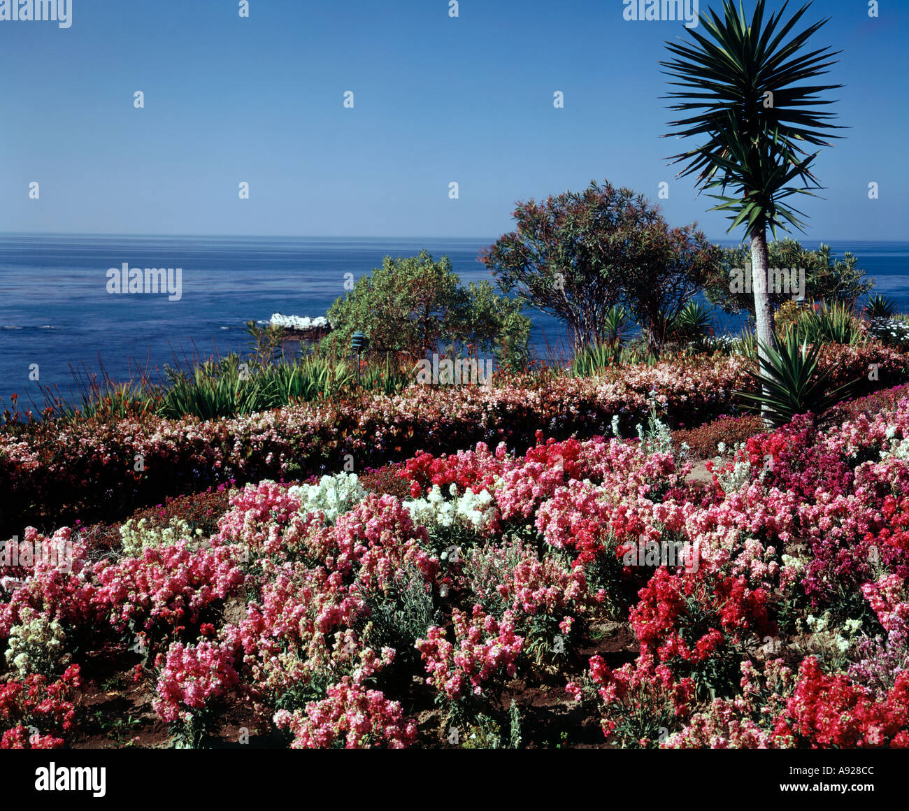 Waterfront overlook at Victor Hugo gardens in Laguna Beach California