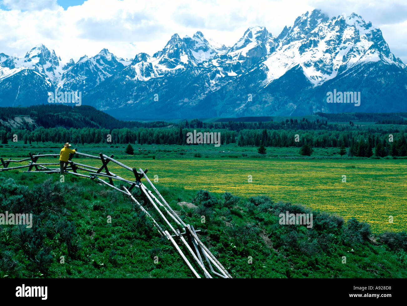 Sawbuck fence hires stock photography and images Alamy