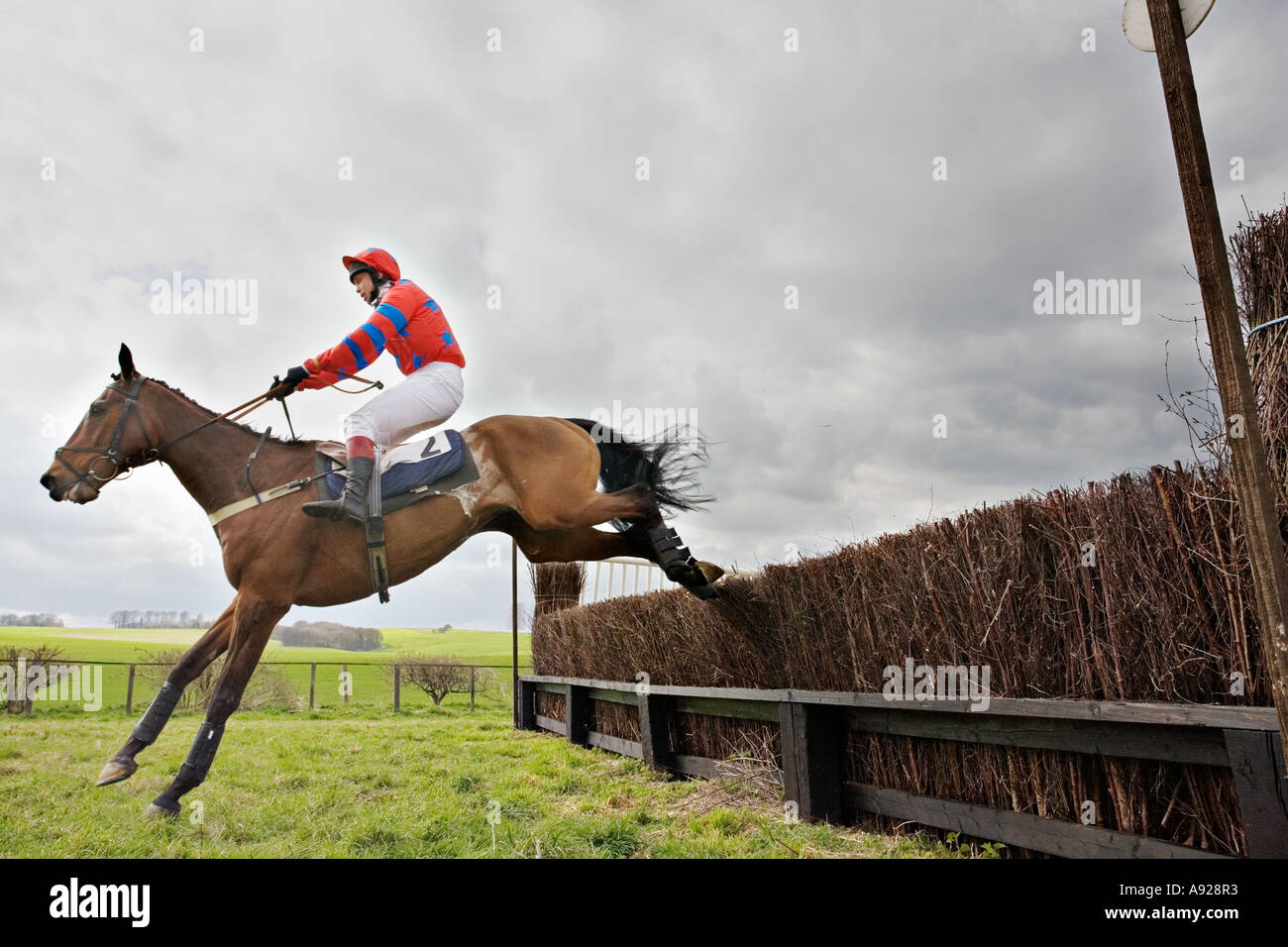 horse and rider jumping fence Stock Photo - Alamy