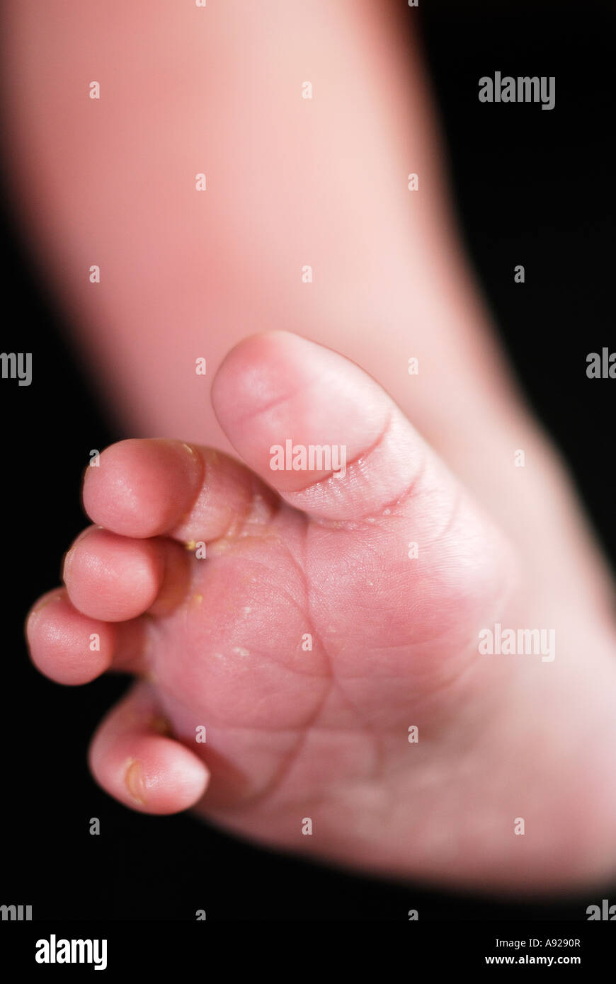 A newborn babys toes Stock Photo - Alamy