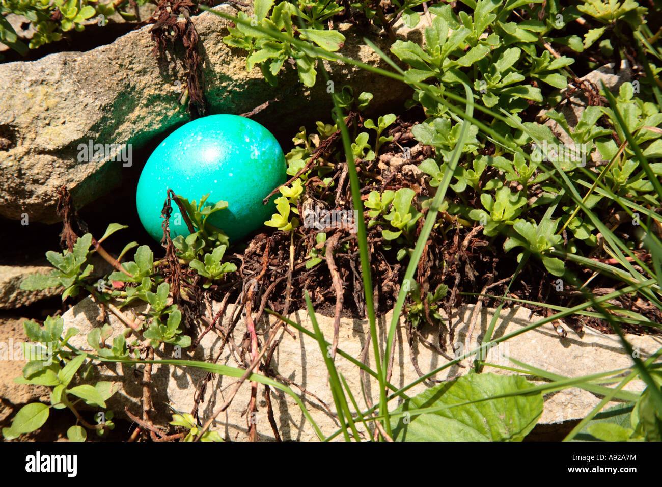 Hidden Easter Eggs Stock Photo Alamy