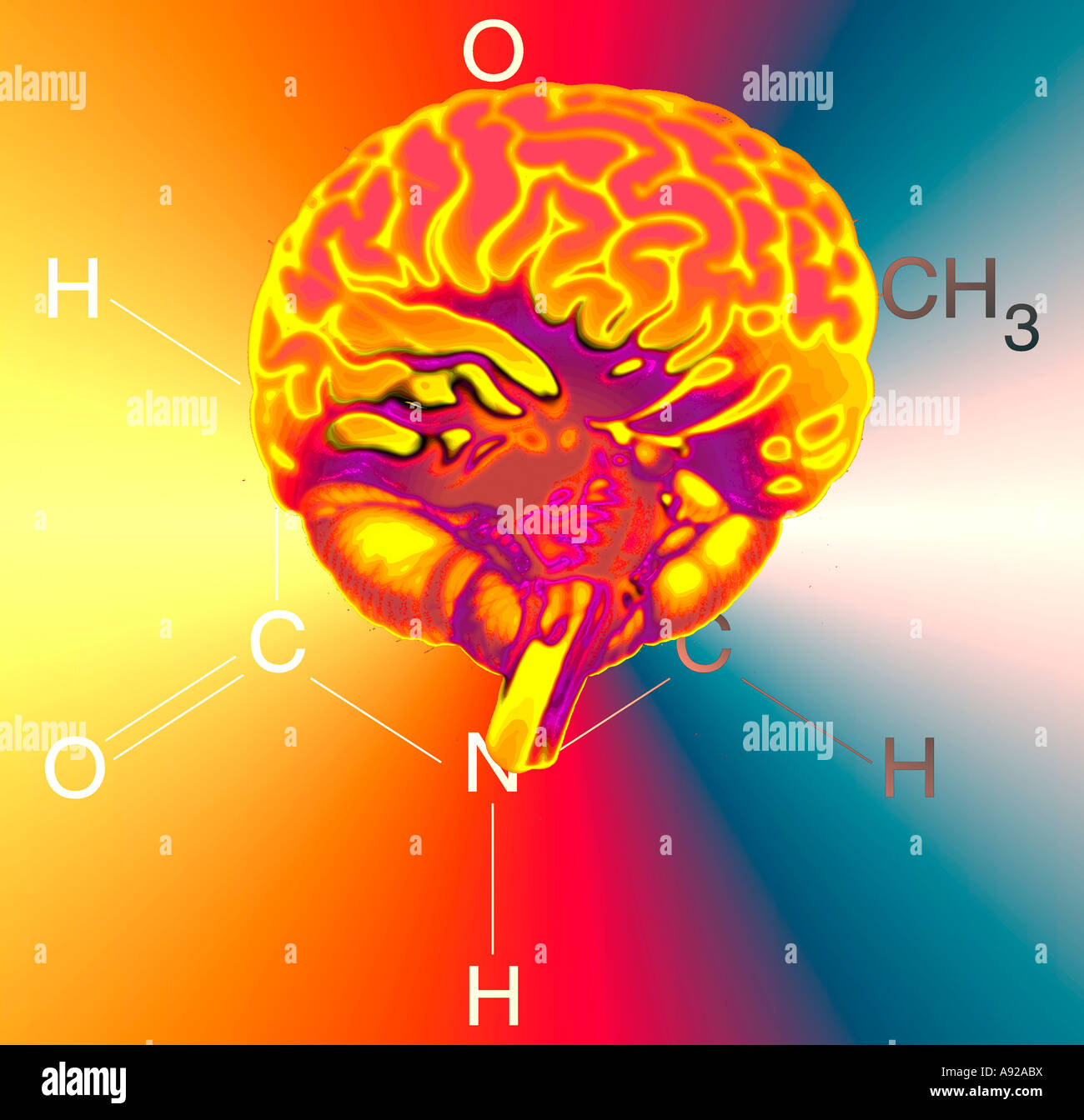 computer generated model of a human brain composited on medical symbols Stock Photo