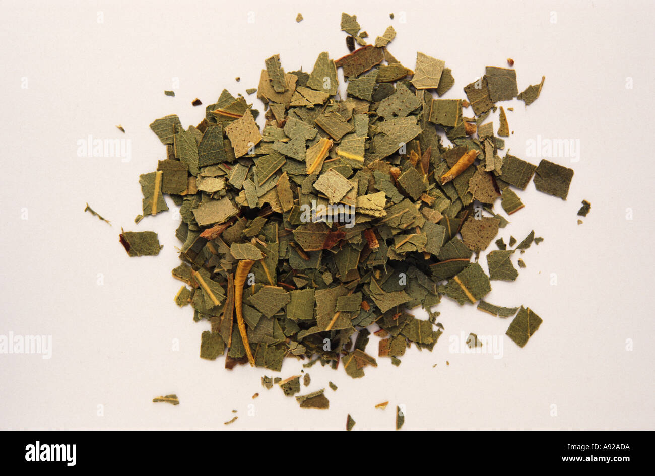 Medicinal plant Eukalyptus Eucalyptus globulus dry dried leaves Stock