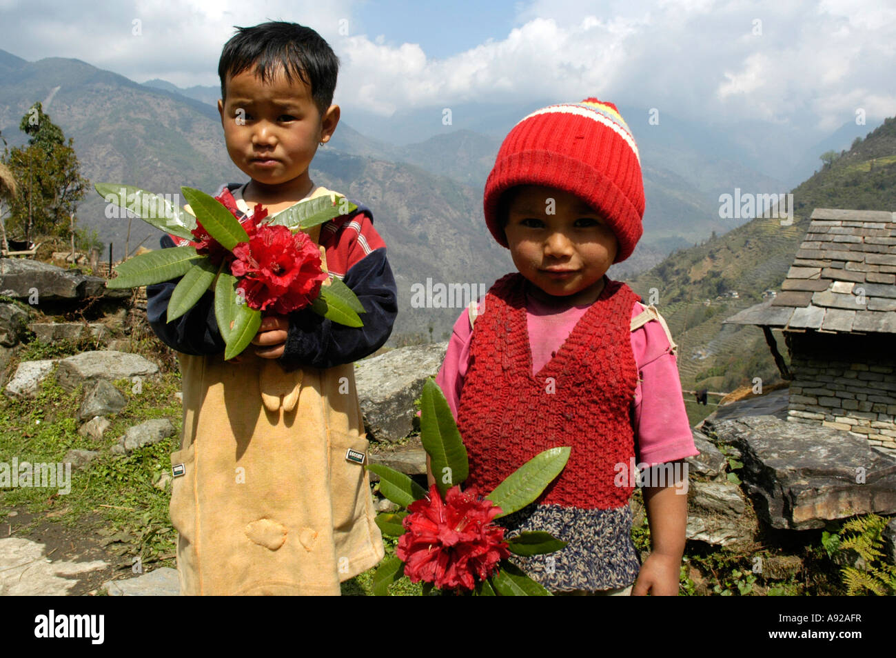 Two cute kids with Rhododendron flowers Landruk near Pokhara Nepal Stock Photo