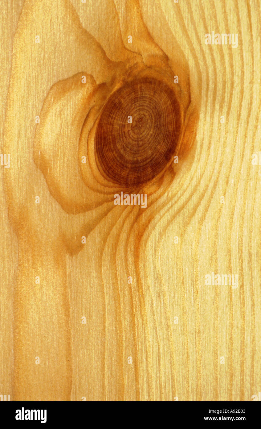 Knot Hole Stock Photos & Knot Hole Stock Images Alamy
