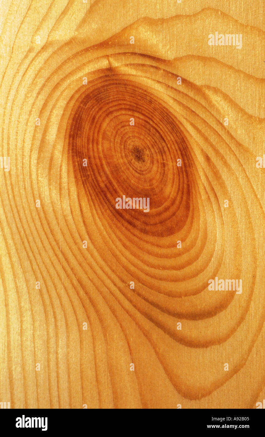 wood plate of pine wood with a branch eye knot hole background brown yellow wooden Stock Photo