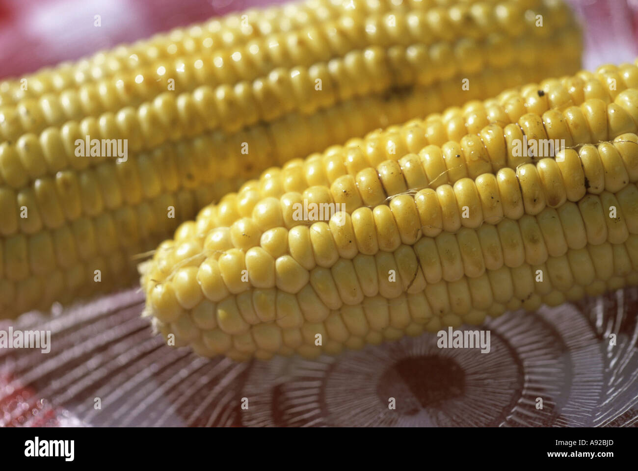 Close-up of corn on the cob Stock Photo