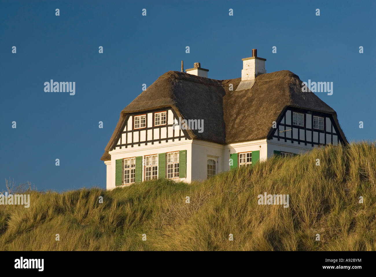 Reetgedecktes Ferienhaus an der Nordseekueste, Loekken, Juetland, Daenemark Stock Photo