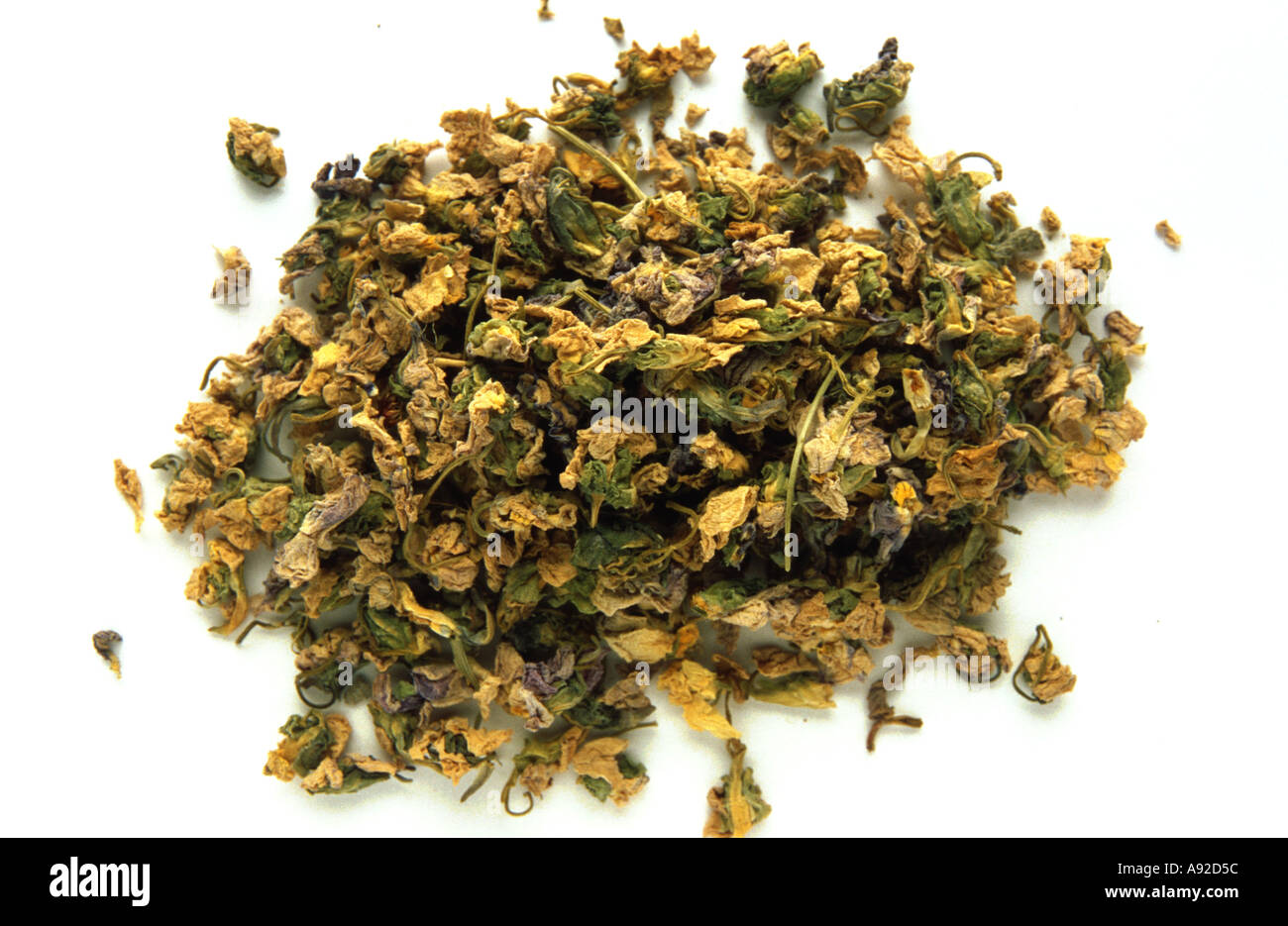 Medicinal plant dried blossoms and leaves of Sweet Violet Viola odorata Veilchen Stock Photo