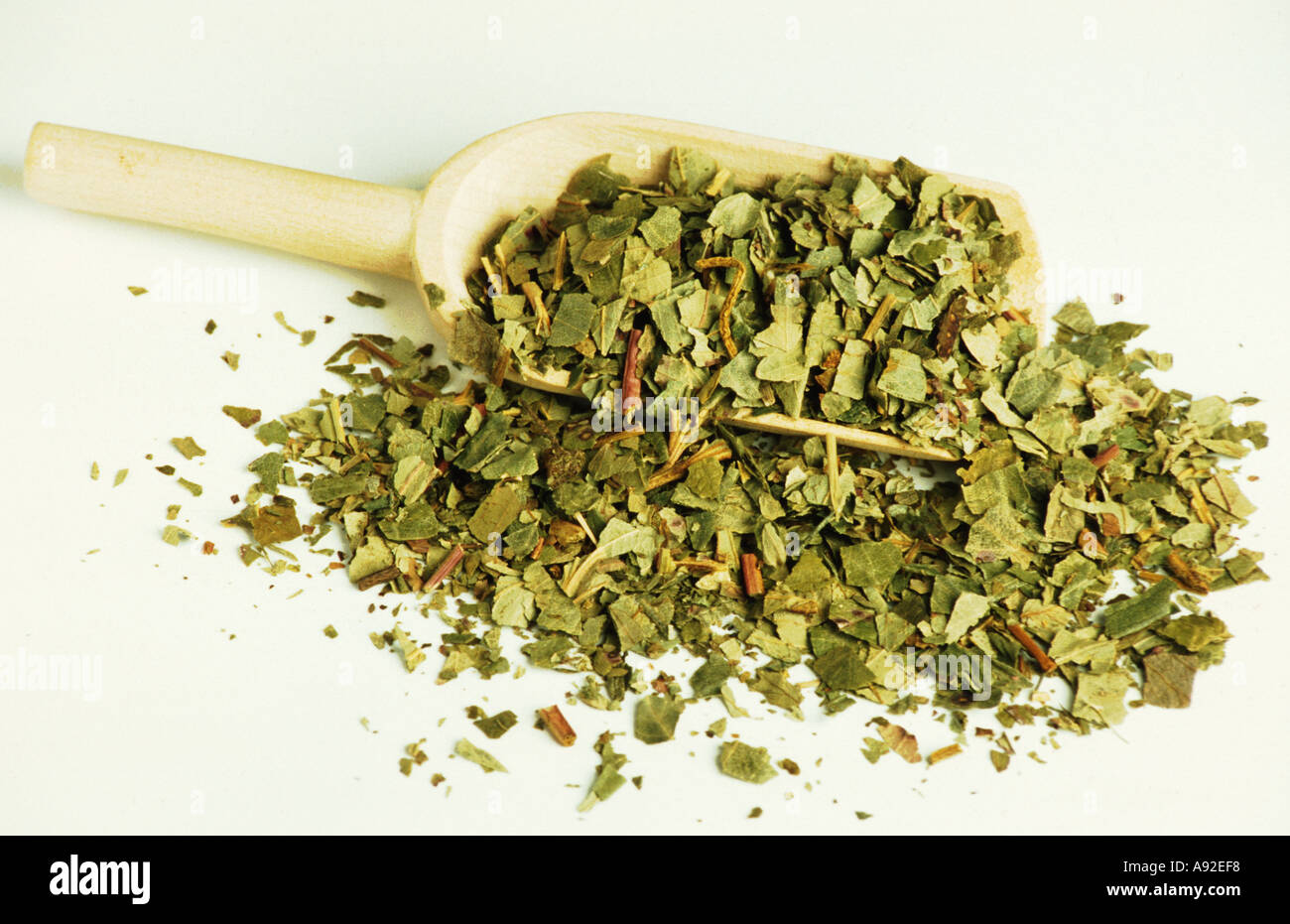 Medicinal plant Fragaria vesca Forest Strawberry leaves wood Walderdbeere Blätter dried dry Stock Photo