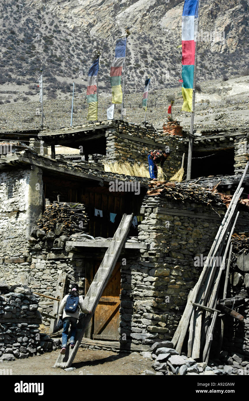 Flat-roofed stone house with wooden ladder and prayer flags in Manang Annapurna Region Nepal Stock Photo