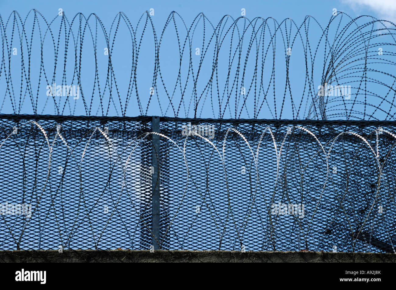 Barbed wire fence Stock Photo