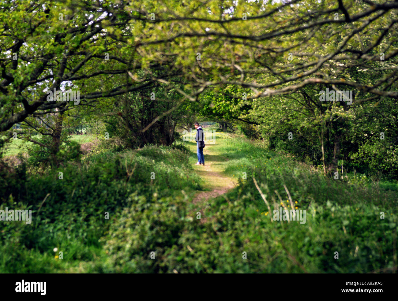 Woman on woodland path Stock Photo