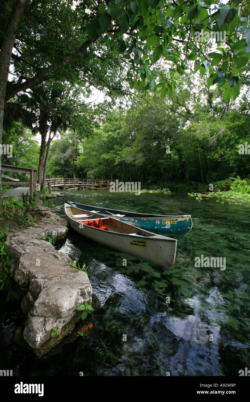 Canoes in the clear water of Wekiwa Springs, Florida, USA Stock Photo