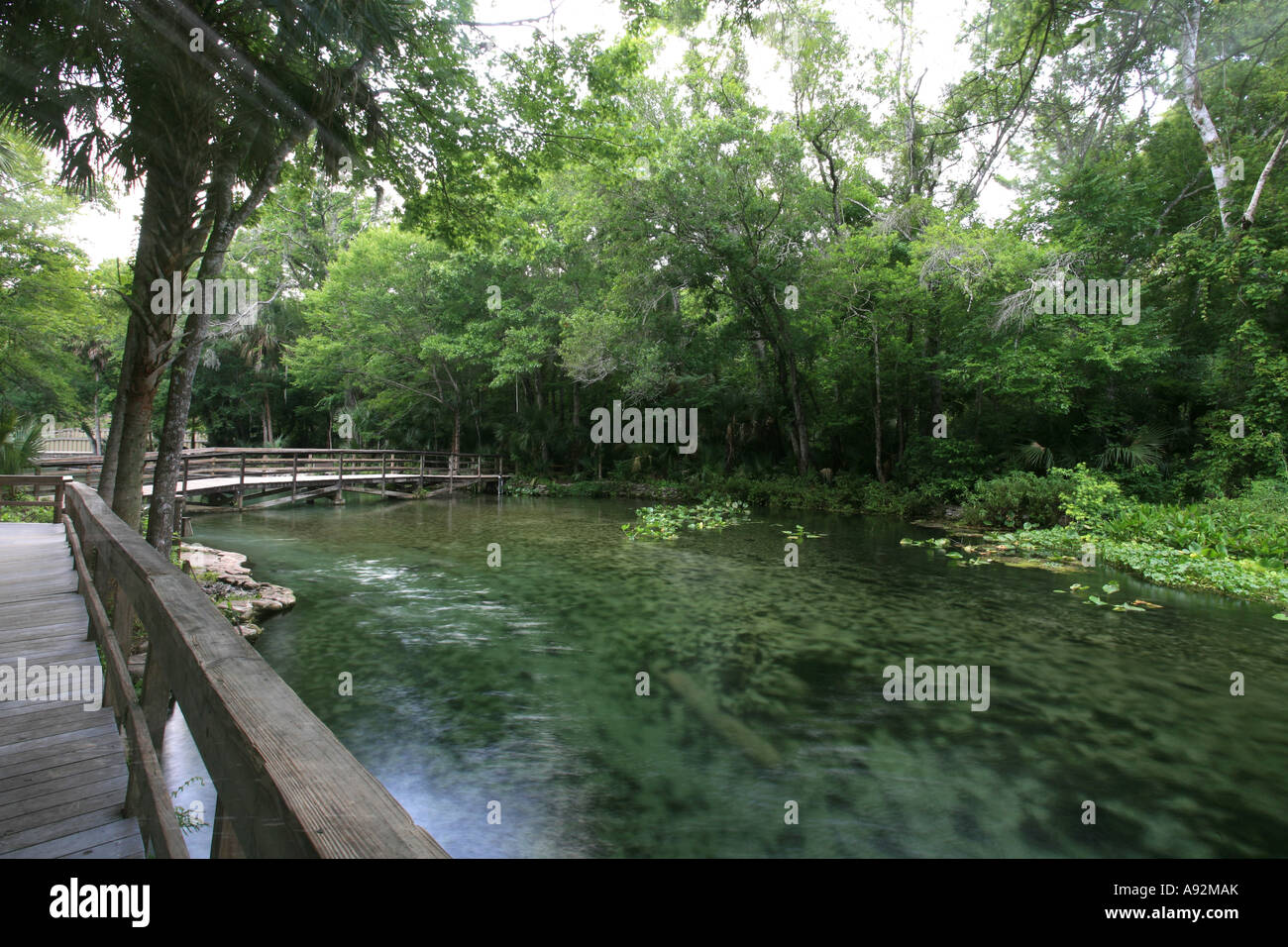 Canoes in the clear water of Wekiwa Springs, Florida, USA Stock Photo