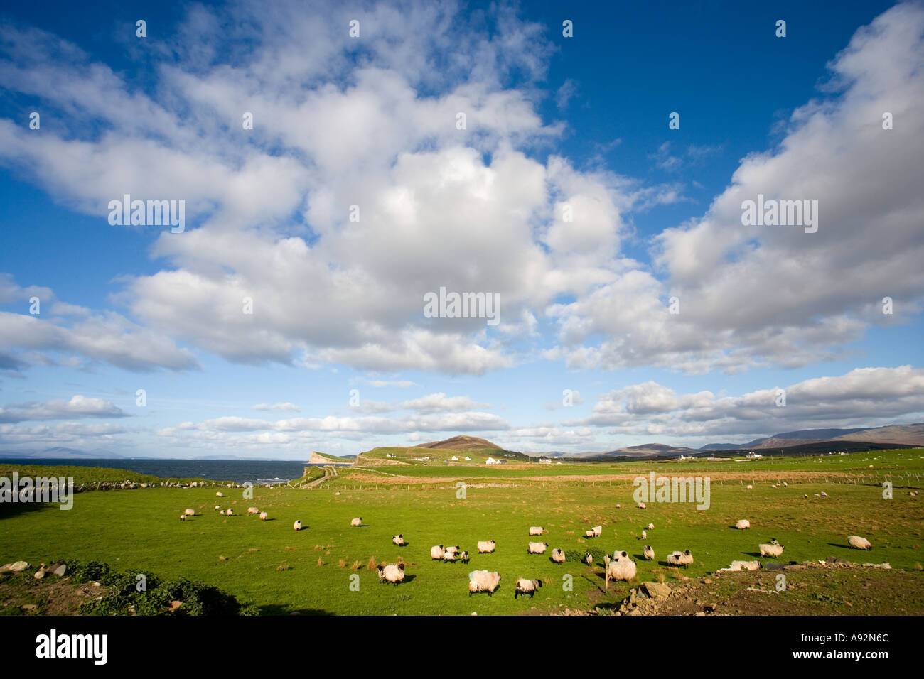 Old head mayo hires stock photography and images Alamy