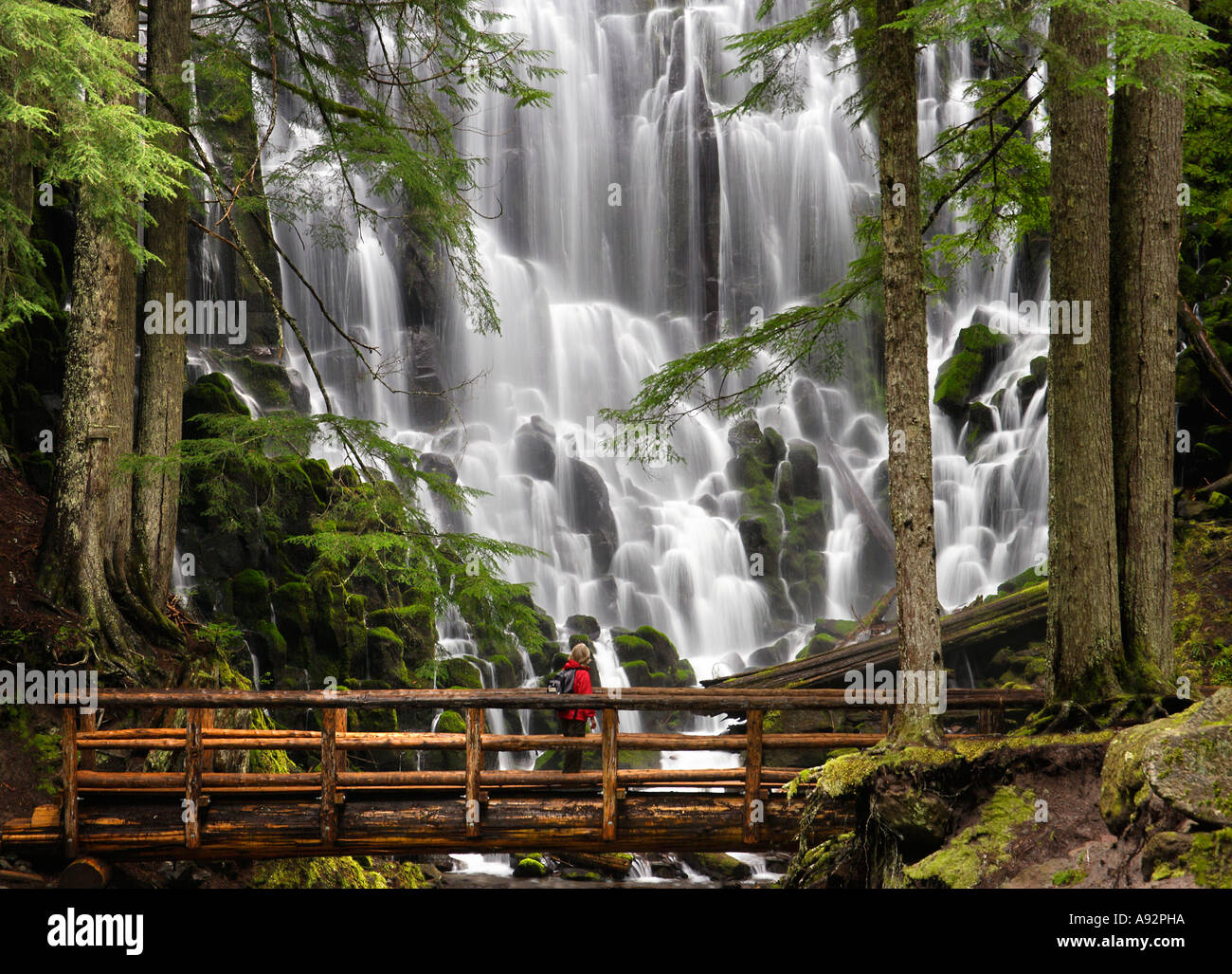 Ramona Falls Mount Hood Wilderness Oregon USA Stock Photo Alamy