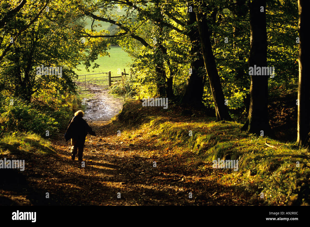 Woman walking down country lane hi-res stock photography and images - Alamy