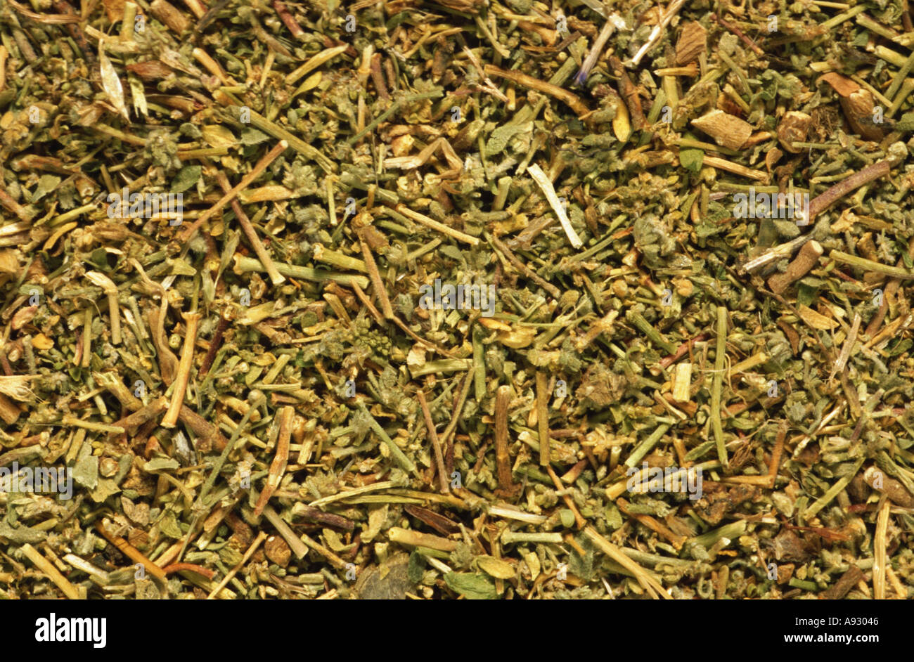 Medicinal plant dried herb of Ruptore Wort Bruchkraut Herniaria glabra Stock Photo