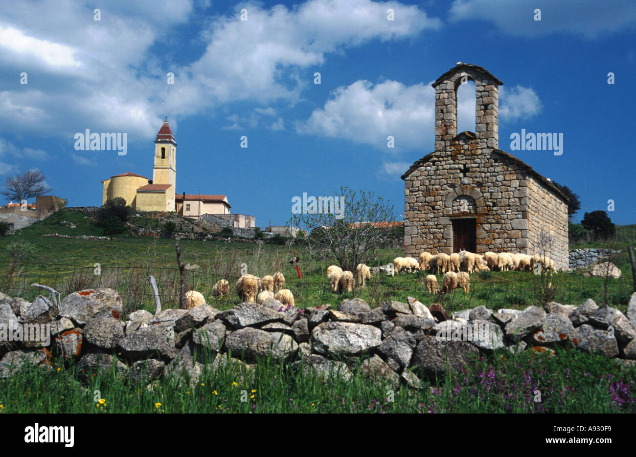 Italy Sardinia scenic with church and chapell near Onani sheeps Stock Photo