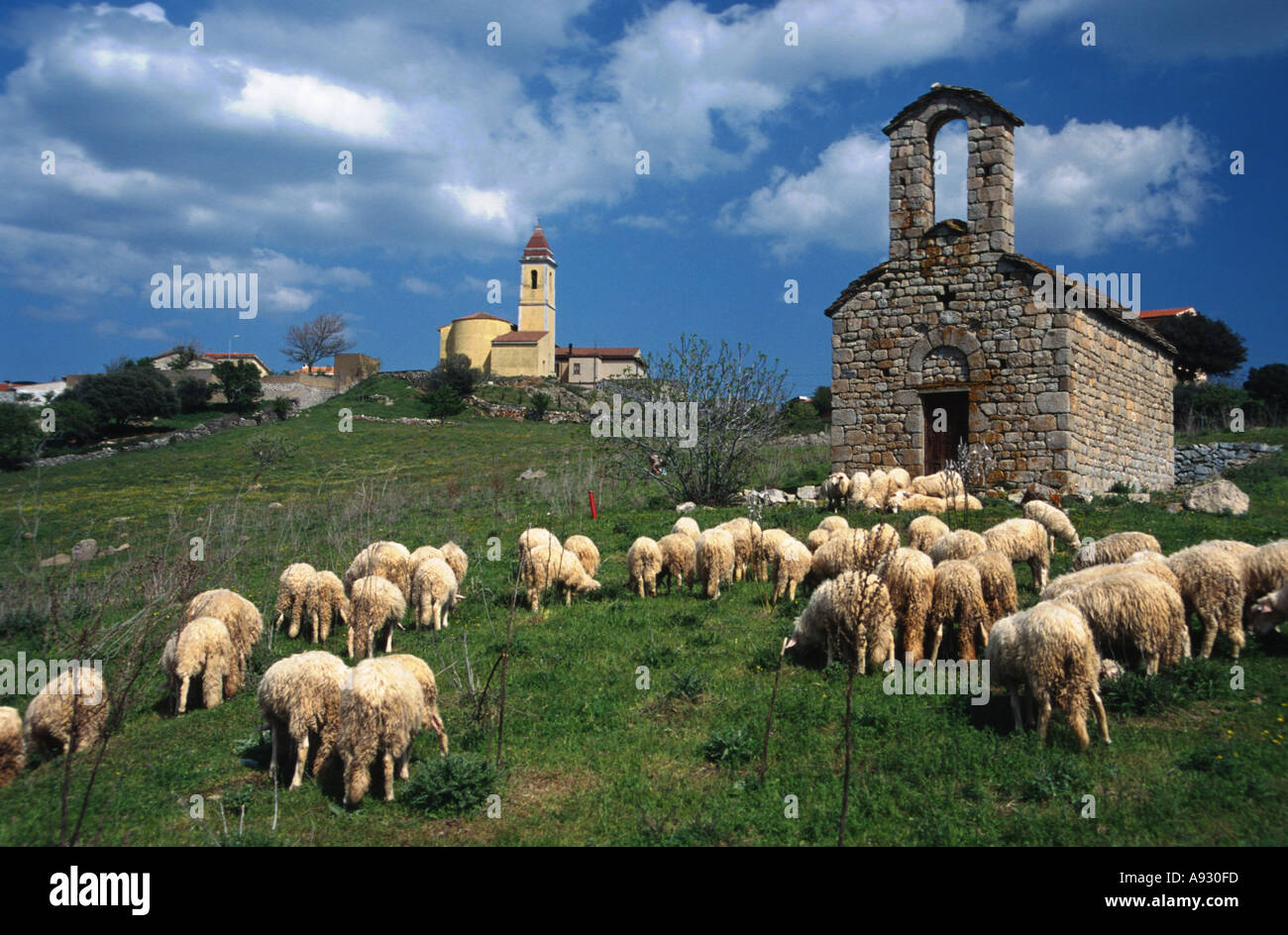 Italy Sardinia scenic with church and chapell near Onani sheeps Stock Photo