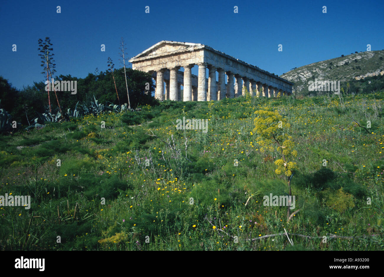 Italy Sicily temple of Segesta Stock Photo - Alamy