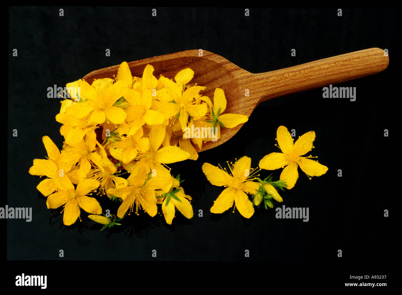 St John's wort, Hypericum perforatum, also known as Tipton's weed