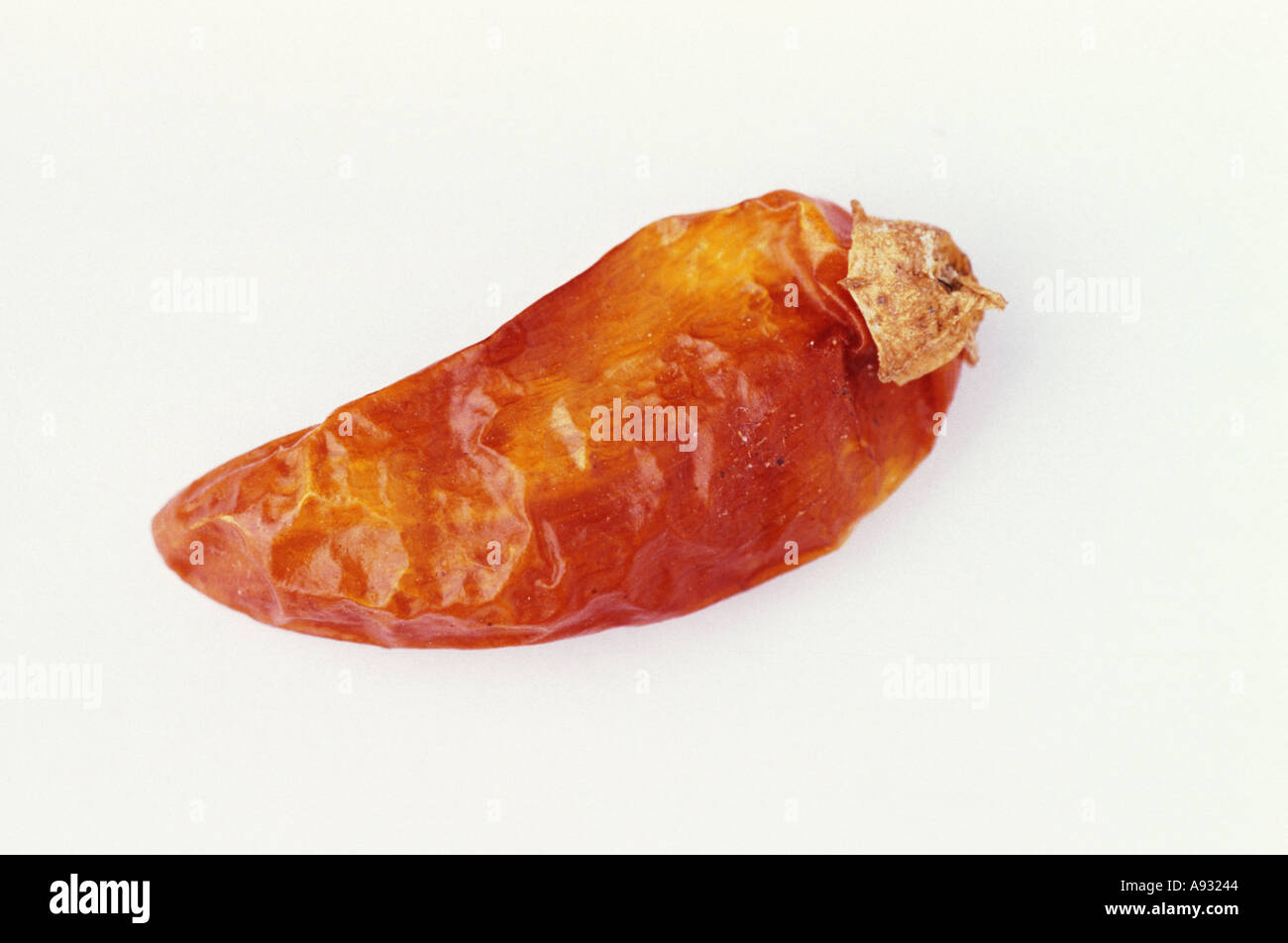 Spice Food Chilly Chilli dry fruit of the Piquin one of the hottest ...