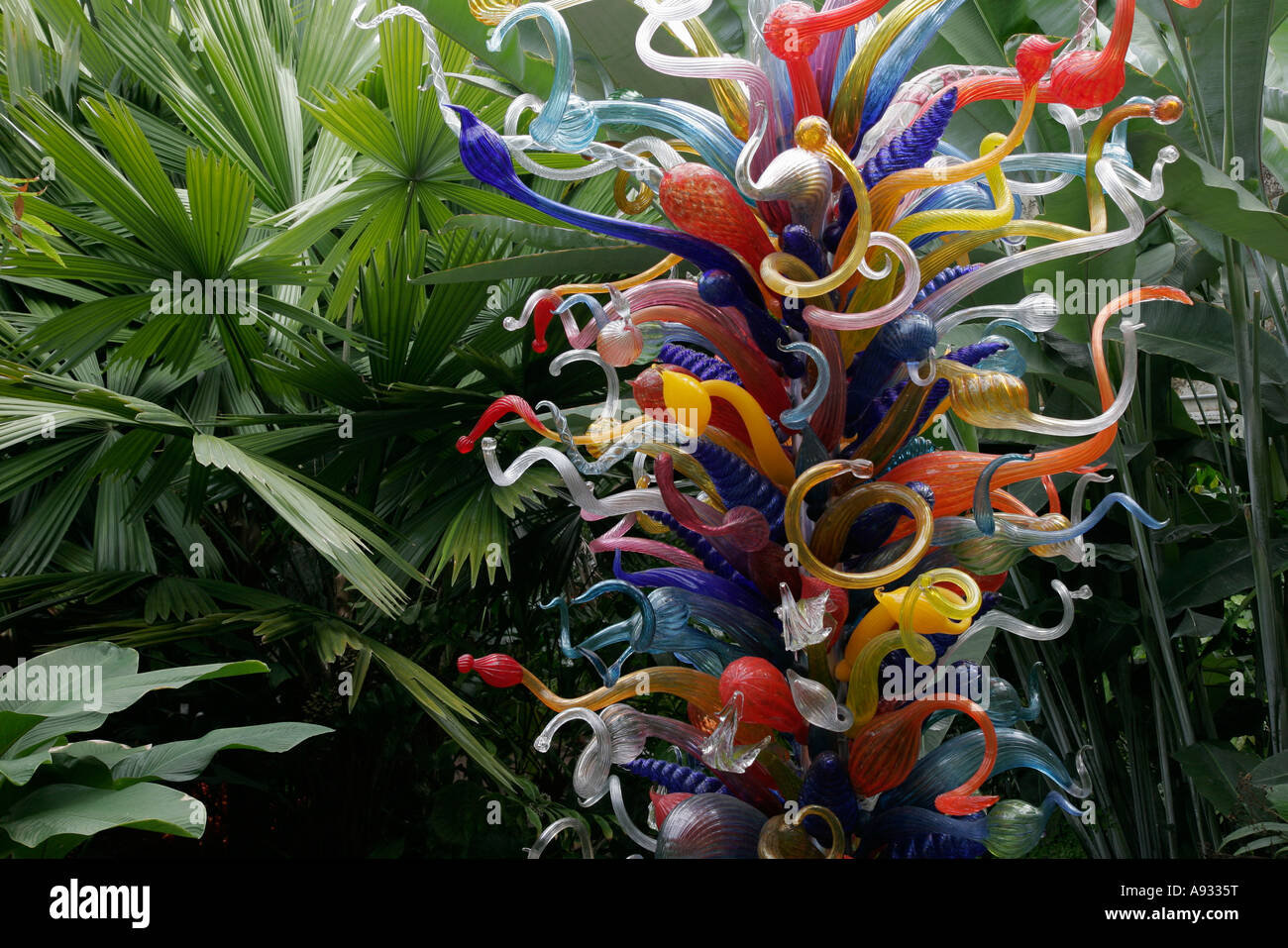 Coral Gables Miami Florida Fairchild Tropical Botanic Garden Chihuly ... Coral Gables Miami Florida Fairchild Tropical Botanic Garden Chihuly ...