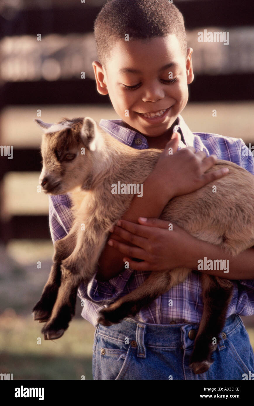 Holding a lamb hi-res stock photography and images - Alamy