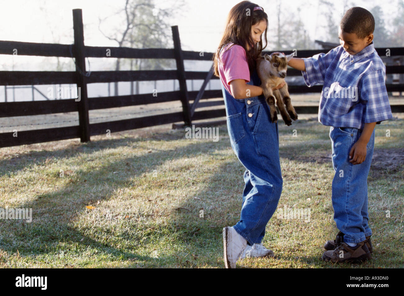 Side profile of a boy and girl playing with a lamb Stock Photo