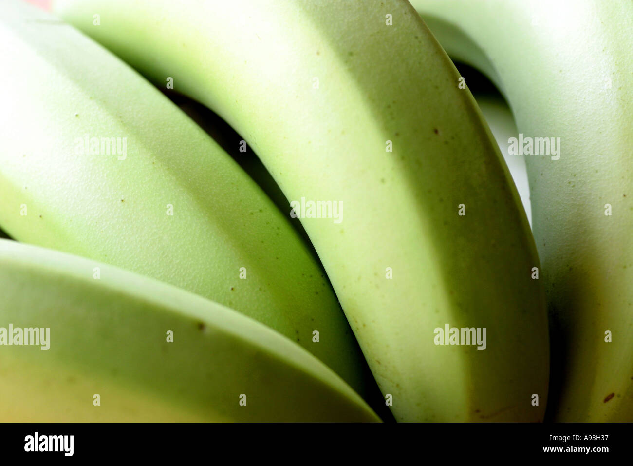 unripe bananas Stock Photo