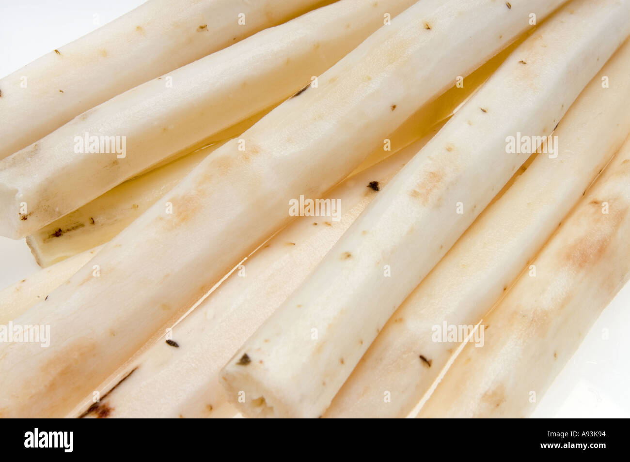 scorzonera ROOTS black salsify SCORZONERA peeled peel HISPANICA Dikotyledonen Compositae Asteraceae Schwarzwurzel Winterspar Stock Photo