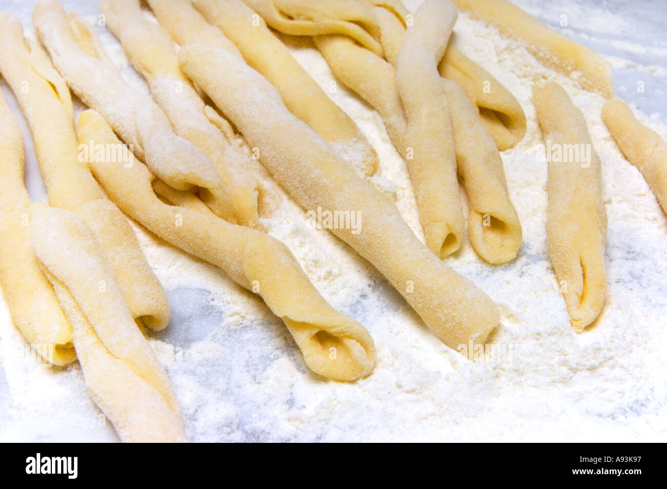 scorzonera ROOTS black salsify SCORZONERA peeled peel HISPANICA Dikotyledonen Compositae Asteraceae Schwarzwurzel Winterspar Stock Photo