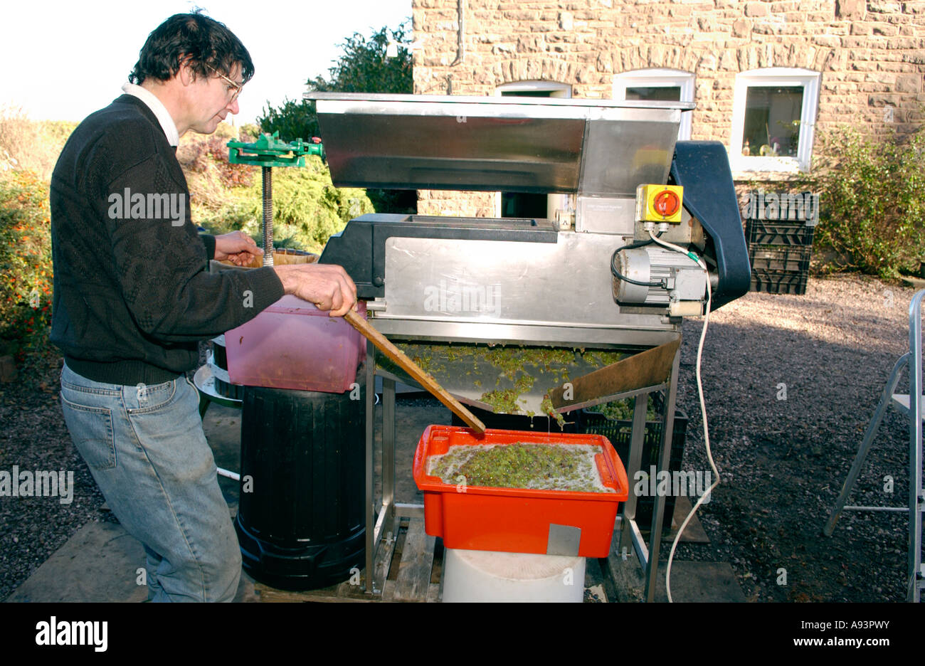 Winemaker engaged in small scale commercial wine production at Wernddu