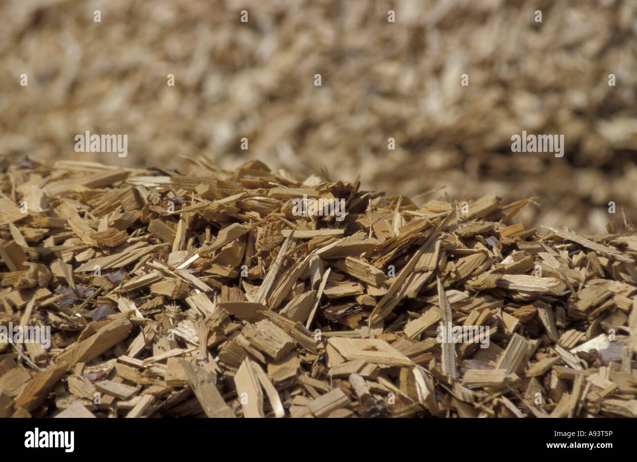 heap of chipped wood Stock Photo