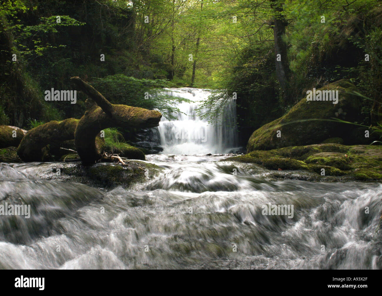 Water stream photos hi-res stock photography and images - Alamy