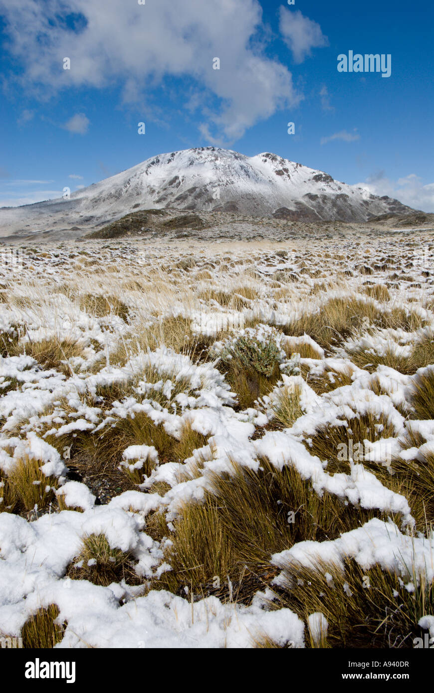 Snowcovered Steppe and Cerro Leon (1434m), Perito Moreno National Park