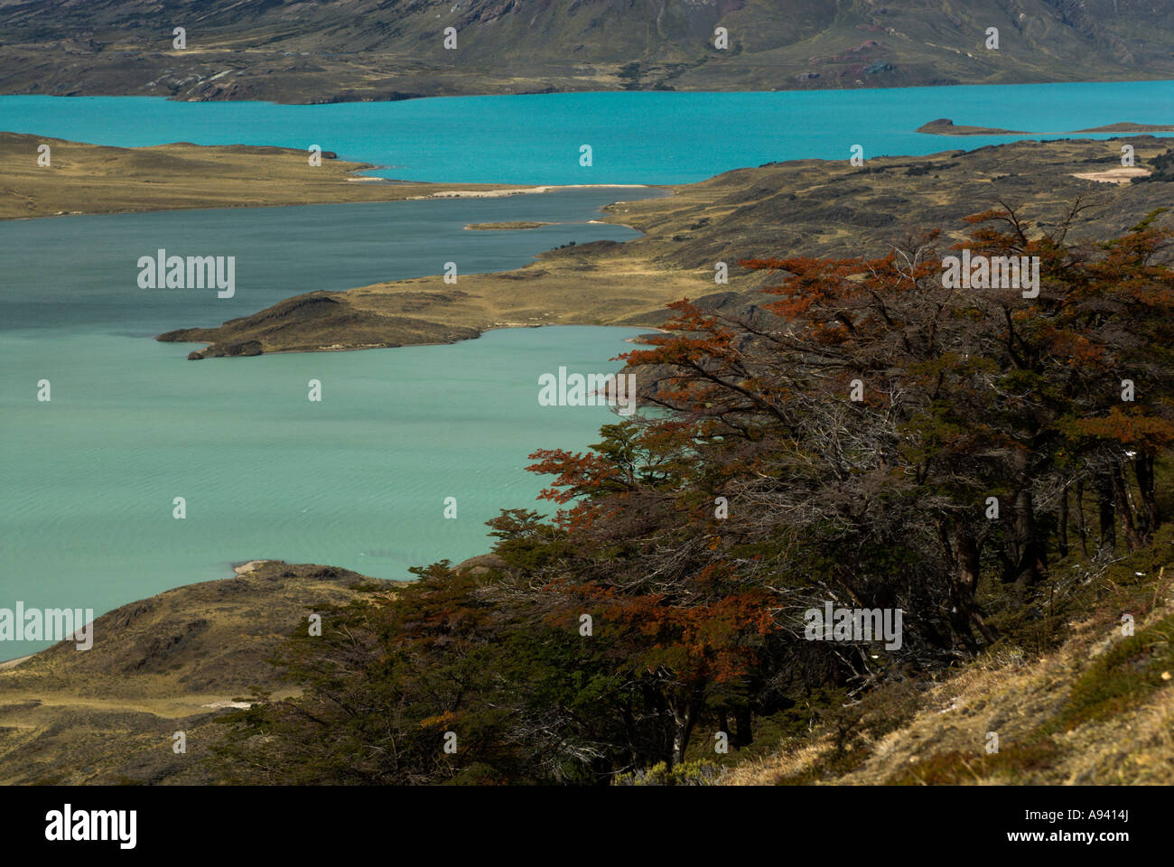Lake Belgrano view from Cerro Leon (1434m), Perito Moreno National Park