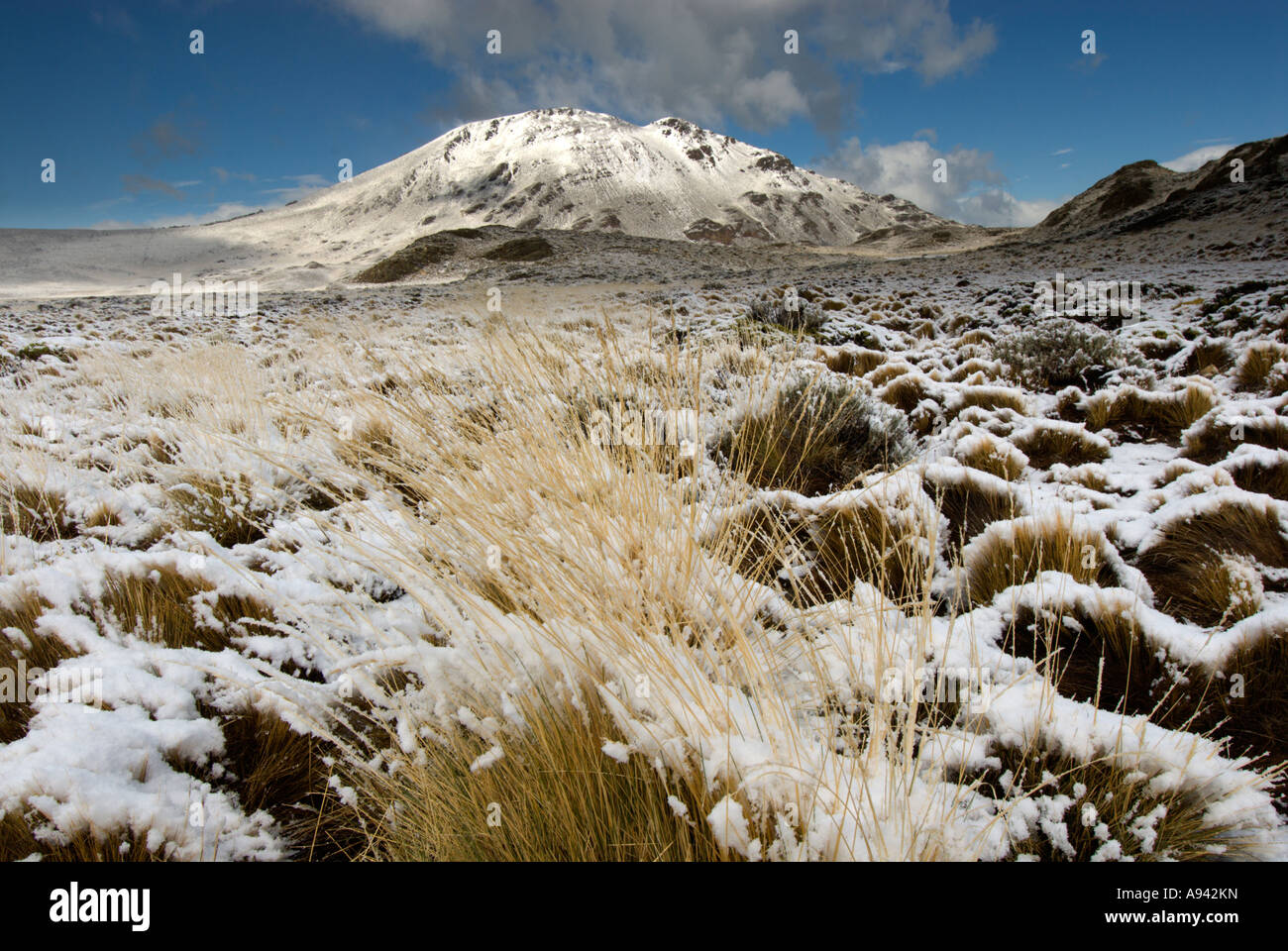 Snowcovered Steppe and Cerro Leon (1434m), Perito Moreno National Park